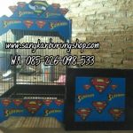 Sangkar Kotak Ukir Motif Superboy