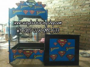 Sangkar Kotak Ukir Motif Superboy