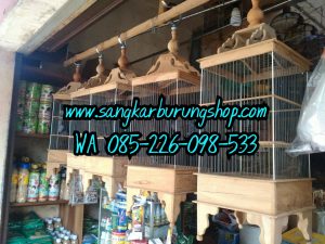 Jual Sangkar Pleci Mentahan