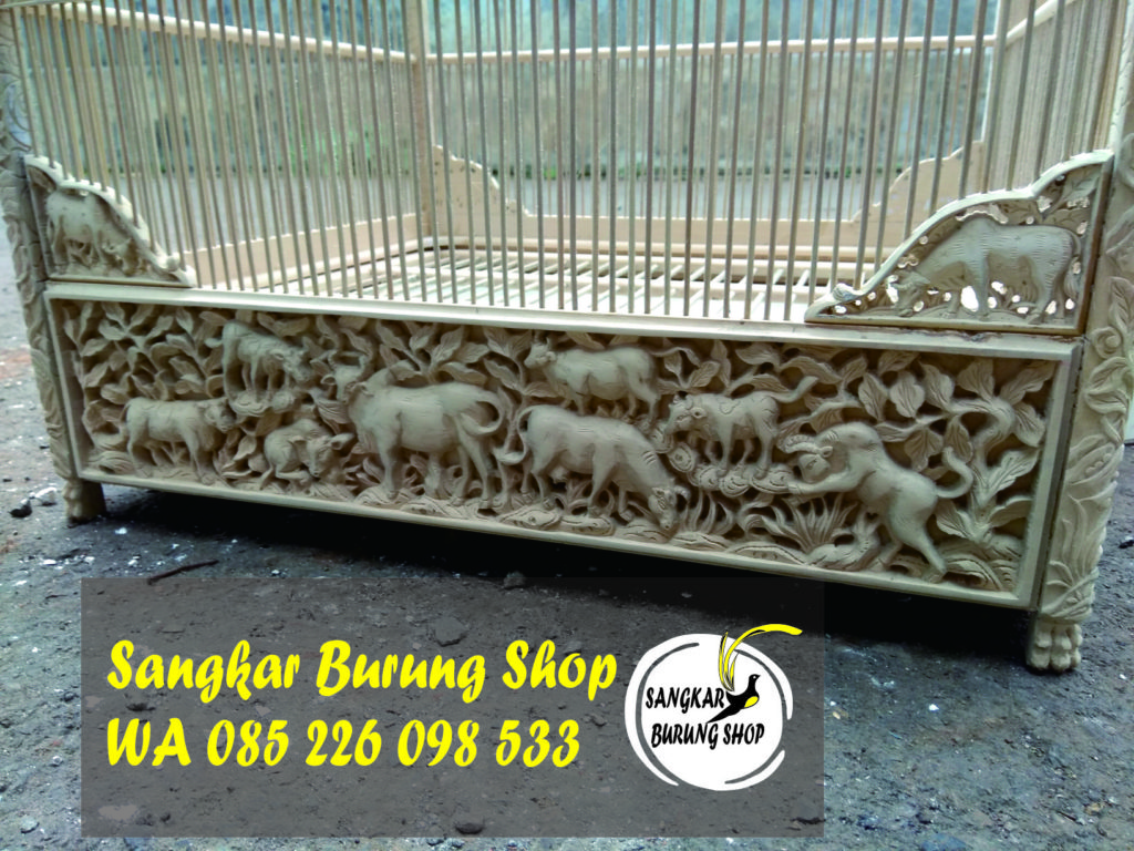 Jual Sangkar Cungkok China Sapi