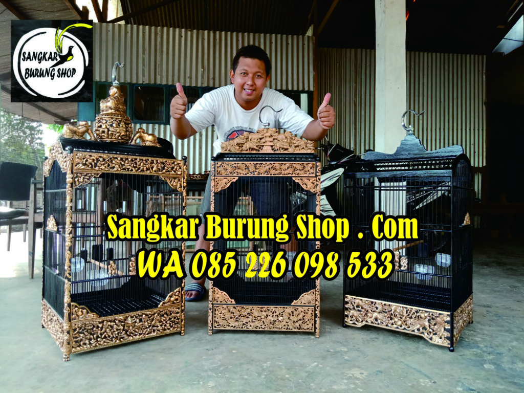 Jual Sangkar Cungkok Kacer