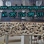 Jual Sangkar Cucak Rowo