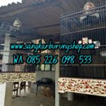 Jual Sangkar Cucak Rowo