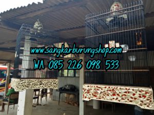 Jual Sangkar Cucak Rowo