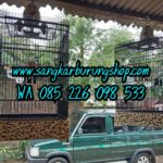 Jual Sangkar Cucak Rowo