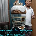 Sangkar Perkutut Termahal Ukir Naga