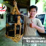 Jual Sangkar Anis Merah, Wambi