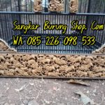 Jual Sangkar Ukir Lomba