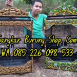 Jual Sangkar Ukir Lomba