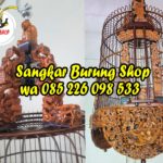 Sangkar Cungkok Anis Terbaru