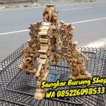 Jual Sangkar Kacer, Cucak Ijo Oval Tanpa Tiang